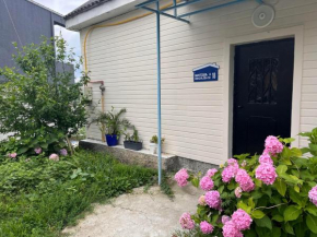 Almadovarhouse